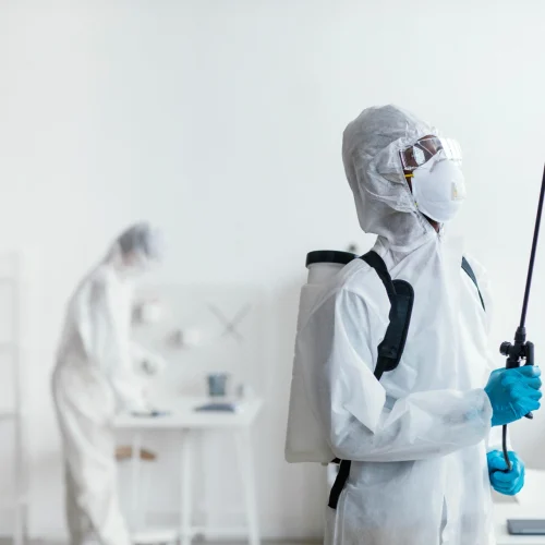 people-disinfecting-together-dangerous-area